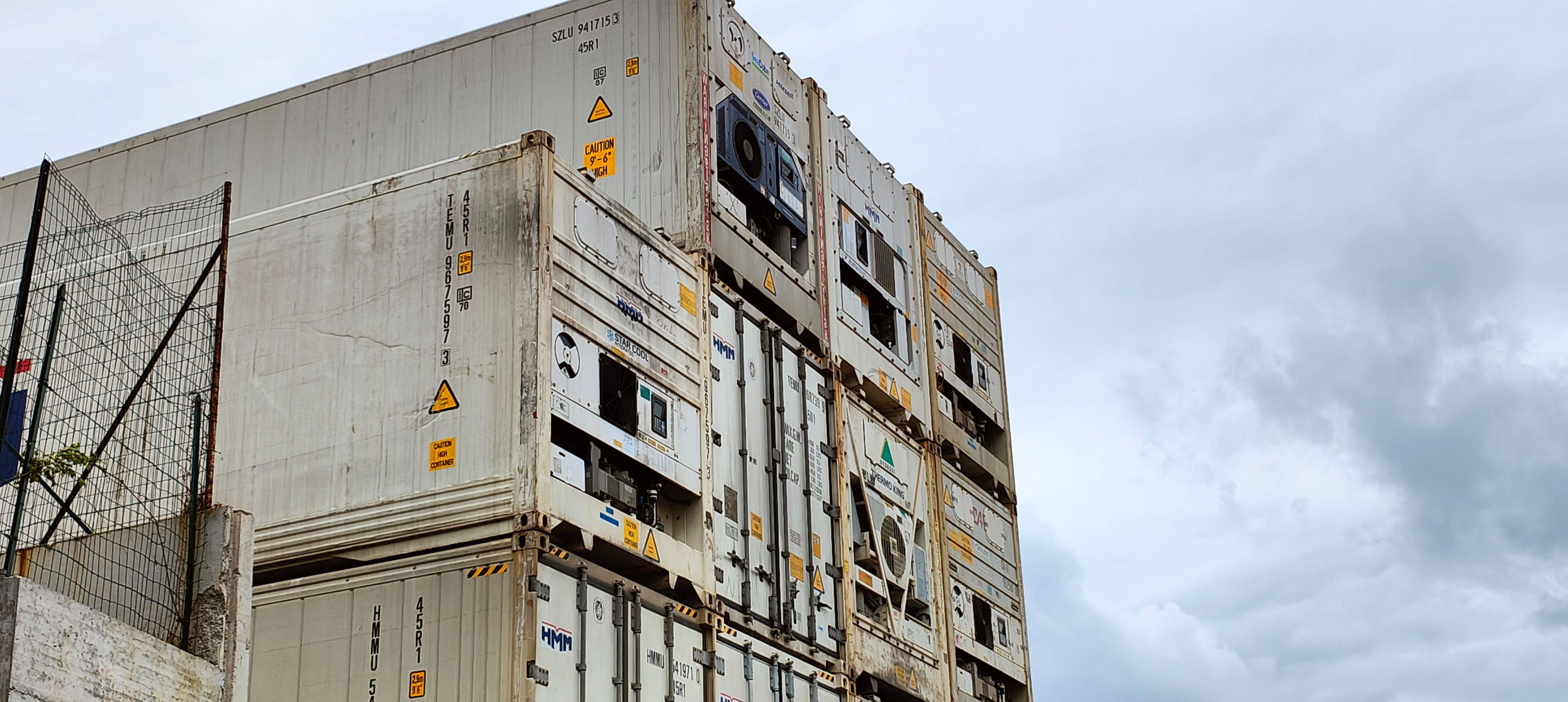 Reefer Container in Belawan