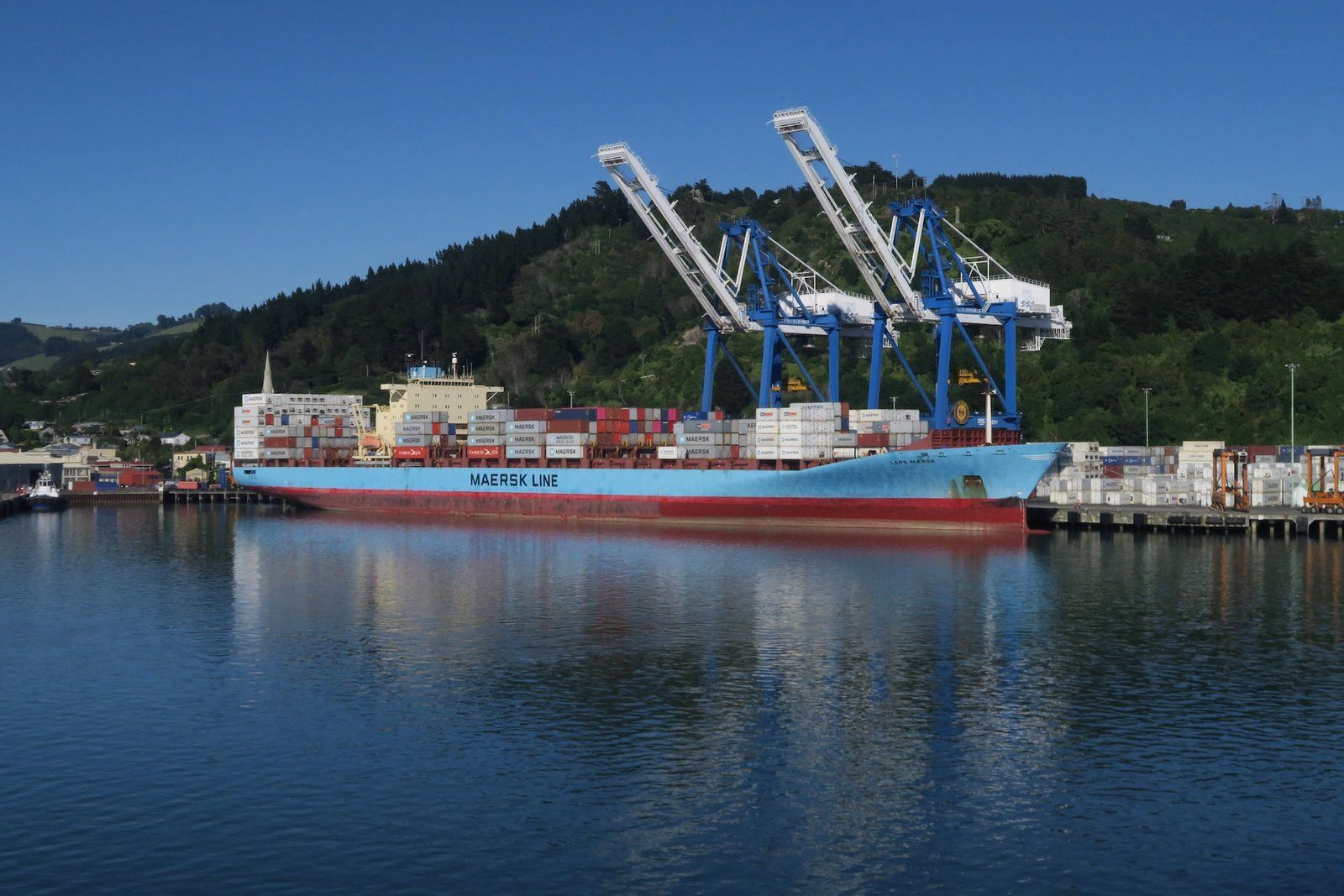 Why Choose New Shipping Containers for Your Next Project?