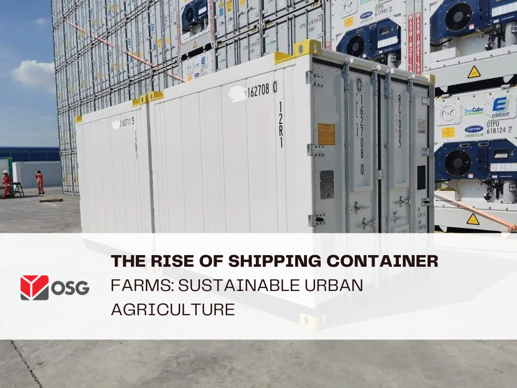 The Rise of Shipping Container Farms: Sustainable Urban Agriculture